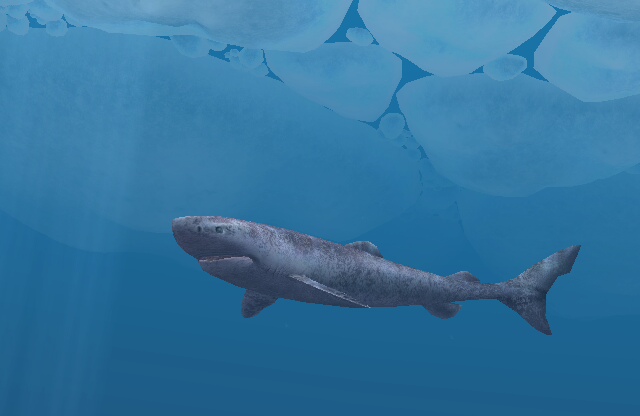 Greenland Shark Attack